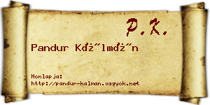 Pandur Kálmán névjegykártya